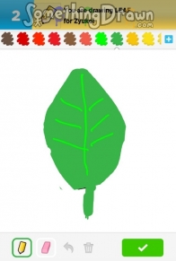 leaf