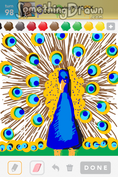 Peacock