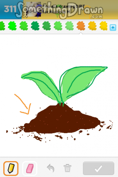 Dirt