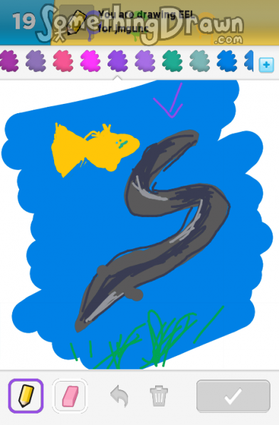 eel
