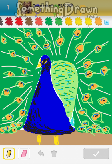 peacock