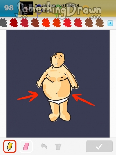 stomach