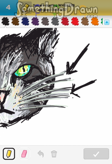 whiskers