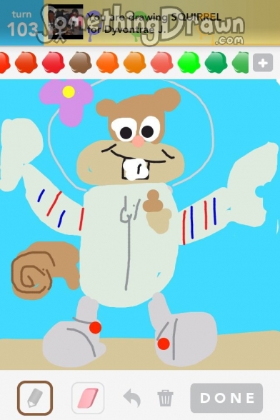 squirrel