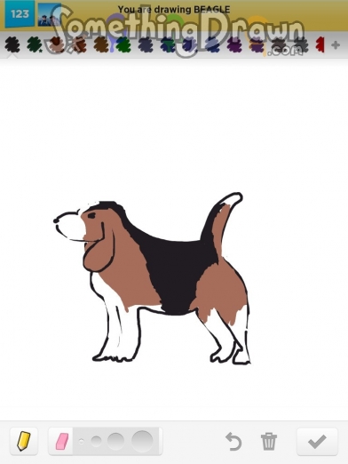 beagle