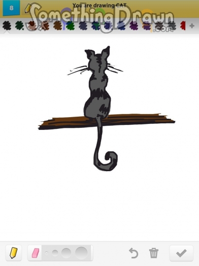 cat