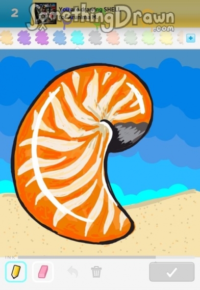 shell