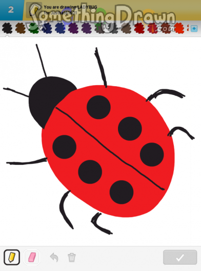 ladybug