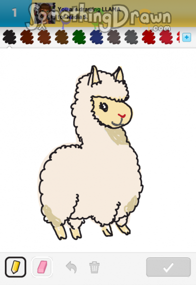 llama