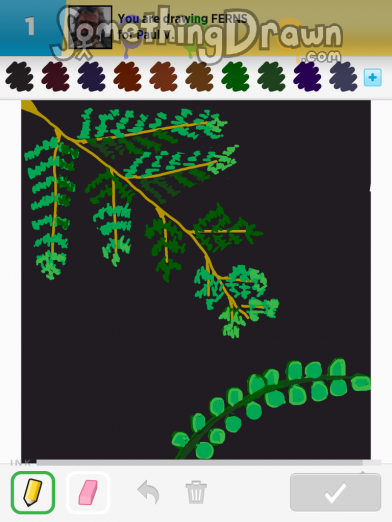 ferns