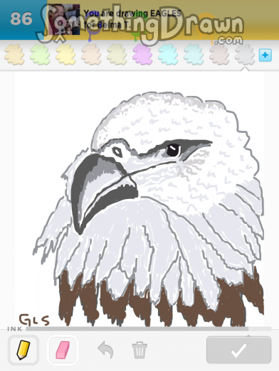 eagles