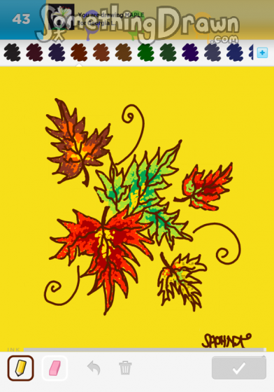 maple