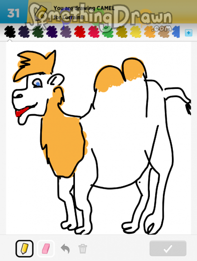camel