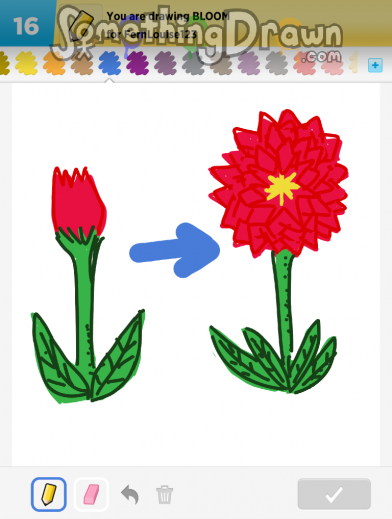 bloom