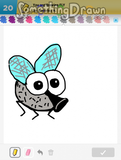 fly