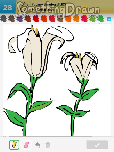 lilies