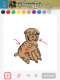 Wrinkles