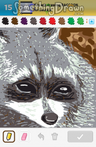 raccoon