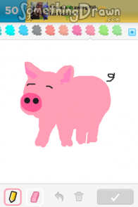 Pig