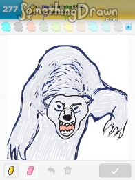 bear