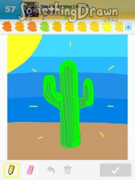 cactus