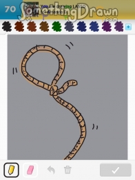 lasso