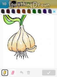 garlic