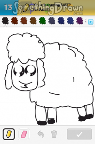 sheep