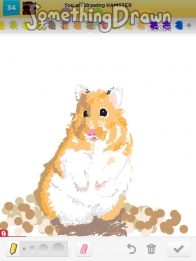 hamster