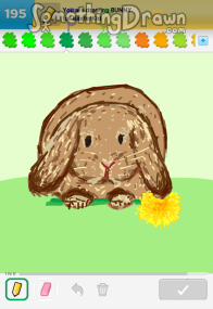 bunny