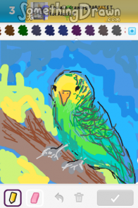 parakeet