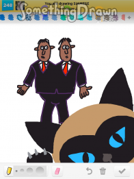siamese