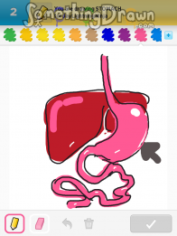 stomach