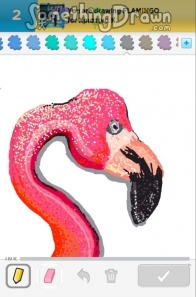 flamingo