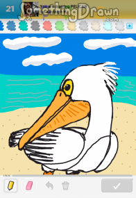 pelican