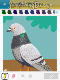 pigeon