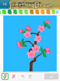 blossom