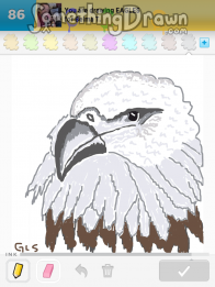 eagles