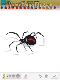 Spider