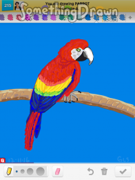 parrot