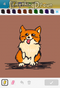 corgi