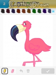 flamingo