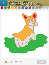 corgi