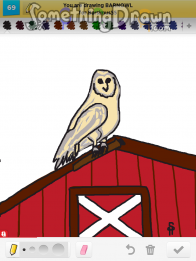 barnowl