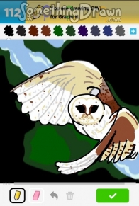owl