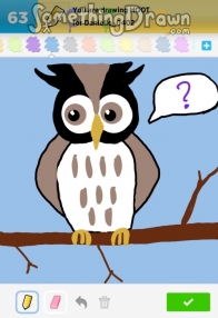 hoot