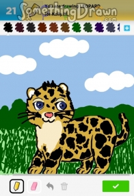 leopard