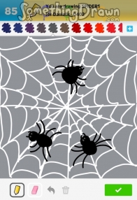 spiders